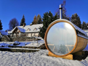 Hotel Gabriela, Vítkovice V Krkonoších